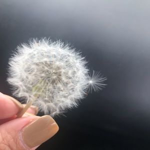 Meet your Posher, Aana